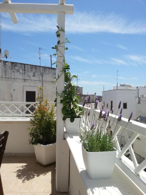 One-Bedroom Apartment Terrace